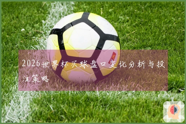 2026世界杯买球盘口变化分析与投注策略