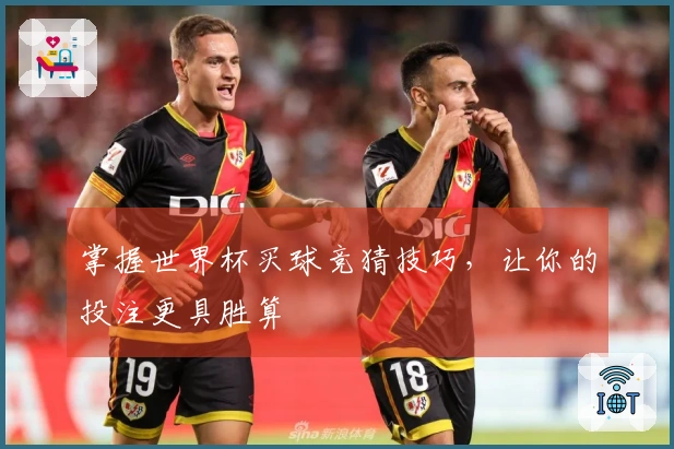 掌握世界杯买球竞猜技巧，让你的投注更具胜算