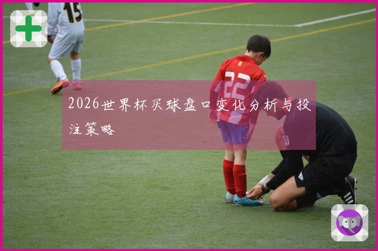 2026世界杯买球盘口变化分析与投注策略
