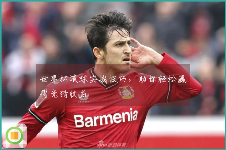 世界杯滚球实战技巧，助你轻松赢得竞猜收益
