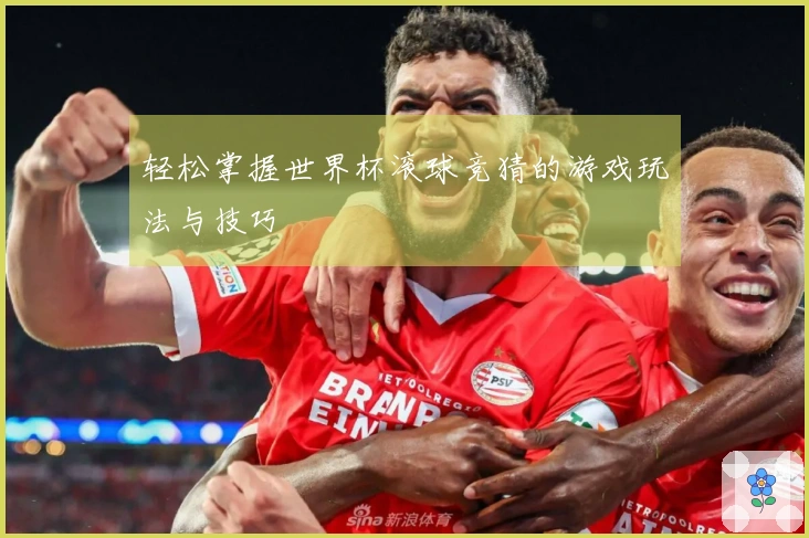 轻松掌握世界杯滚球竞猜的游戏玩法与技巧