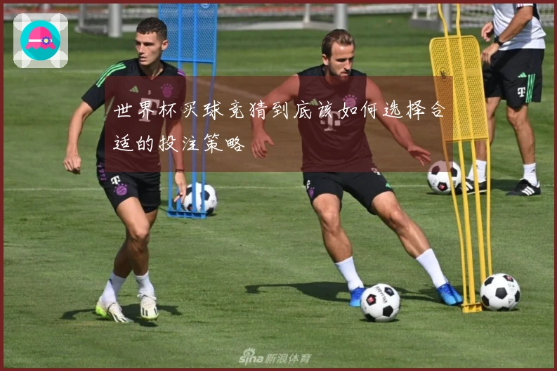 世界杯买球竞猜到底该如何选择合适的投注策略