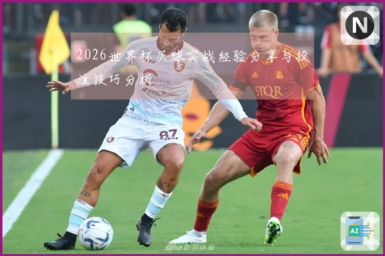 2026世界杯买球实战经验分享与投注技巧分析